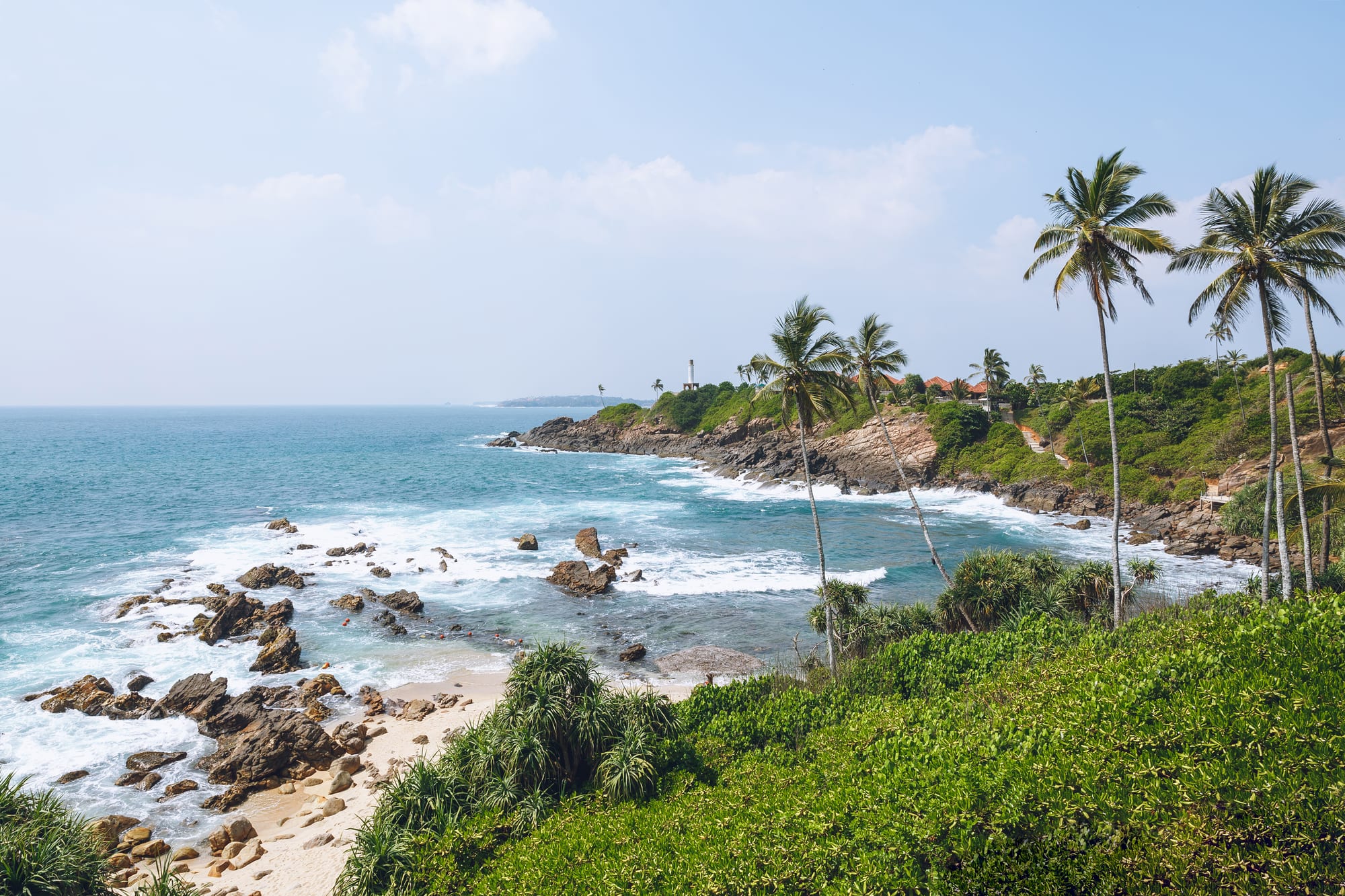 Southern Coast & Wildlife Safari